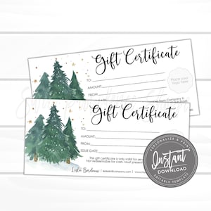 Bewerkbare vakantie afdrukbare cadeaubon, bewerkbare kerstvakantie cadeaubonsjabloon, bon, instant downloadcadeaubon