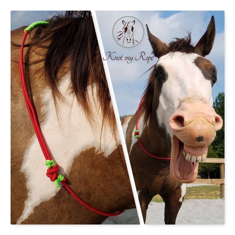 Unique horse neck rope purple neck ring bridleless riding Etsy