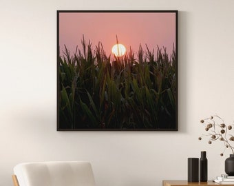 Corn Field Sunset Photography Print -  "Rustic Elegance" - Tall Corn & Stunning Sunset - 12x12 Prints Available -  Free Shipping