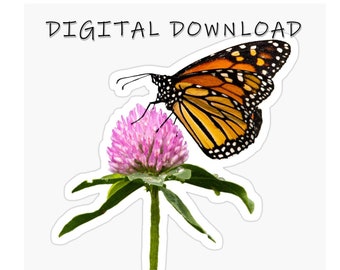 Monarch Butterfly, Digital Download Clipart, Butterfly Clip Art, Instant Download, Photograph, Craft Supplies, Clip Art Image File
