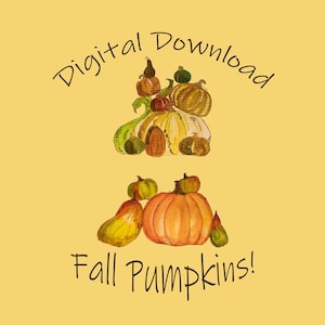 2 pompoen en kalebas aquarel PNG, Instant Download Fall Pumpkin en kalebassen voor journaling, scrapbooking, decoreren, kaarten, digitale media