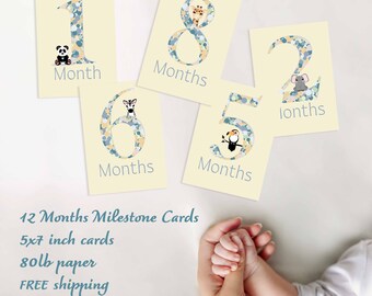 Safari Animals Baby Milestone Cards: 12 Monthly Photo Cards