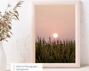 Serene Corn Field Sunset Photography Print Beautiful Sunset with Corn Field - 5x7 & 8x10 Prints Available - Farm Photograph -Free Shipping