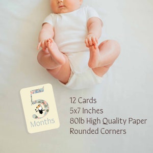 Cartes d'étape Safari Animal - Première année de bébé - Ensemble de 12