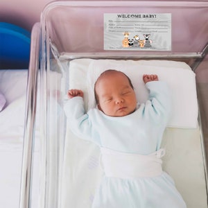 Krankenhaus Krippe Statistik Karte | Safari Willkommenskarte für Babykrippe | Geburtstags-Statistiken zum Ausdrucken | Digitaler Download