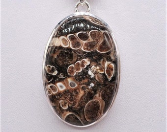 Colgante de plata de turritella/ley, tamaño de piedra es 33 x 23 mm