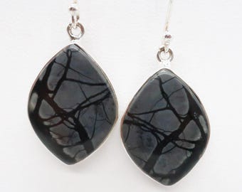 Picasso Jasper/Sterling Silver Earrings, Stone Size is 21 x 16 mm