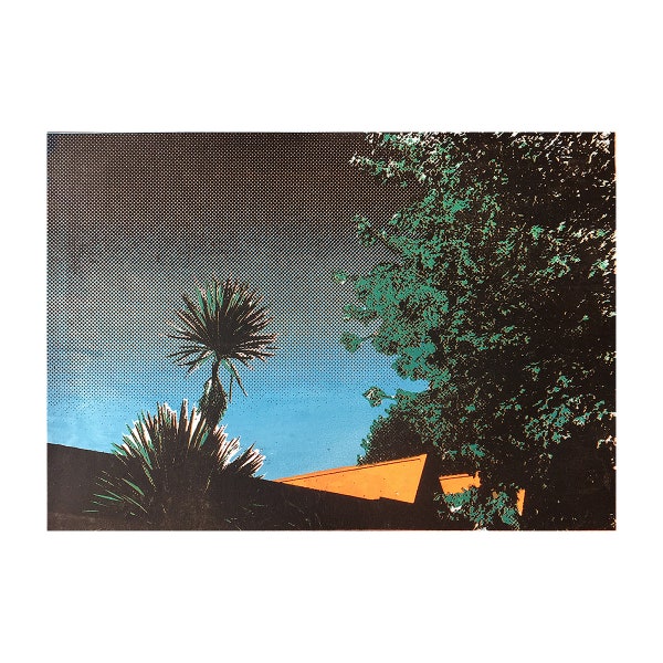 Palm Tree screenprint