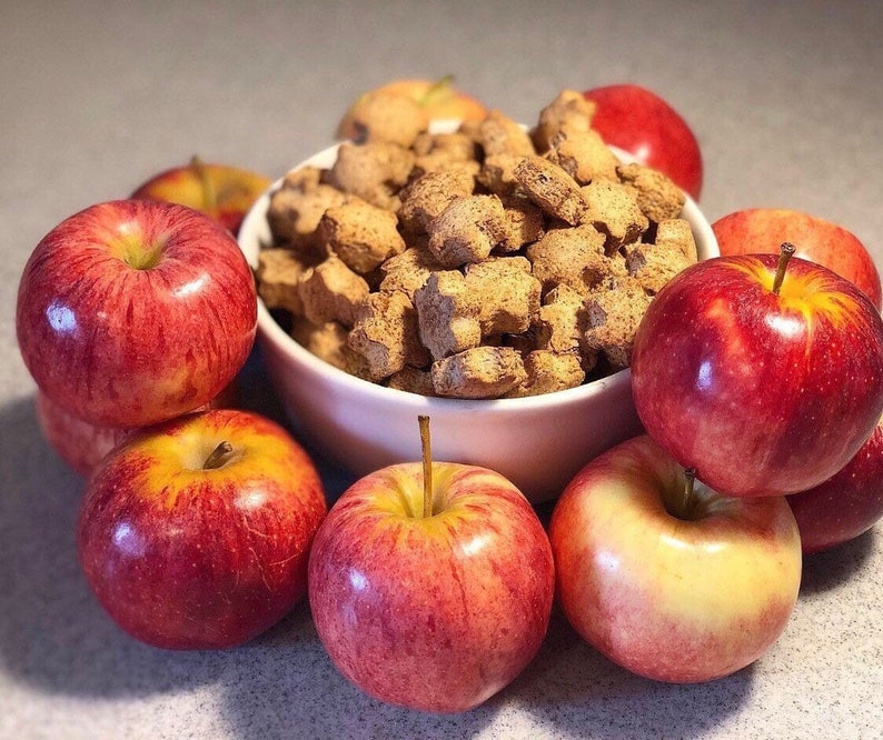 K&ouml;nnte beinhalten: Eine wei&szlig;e Sch&uuml;ssel gef&uuml;llt mit braunen Hunde-Leckerlis, umgeben von roten &Auml;pfeln auf einer hellbraunen Oberfl&auml;che.