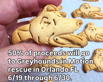Greyhound Dog Treats: Vegan Dragon Fruit Pet Cookies
