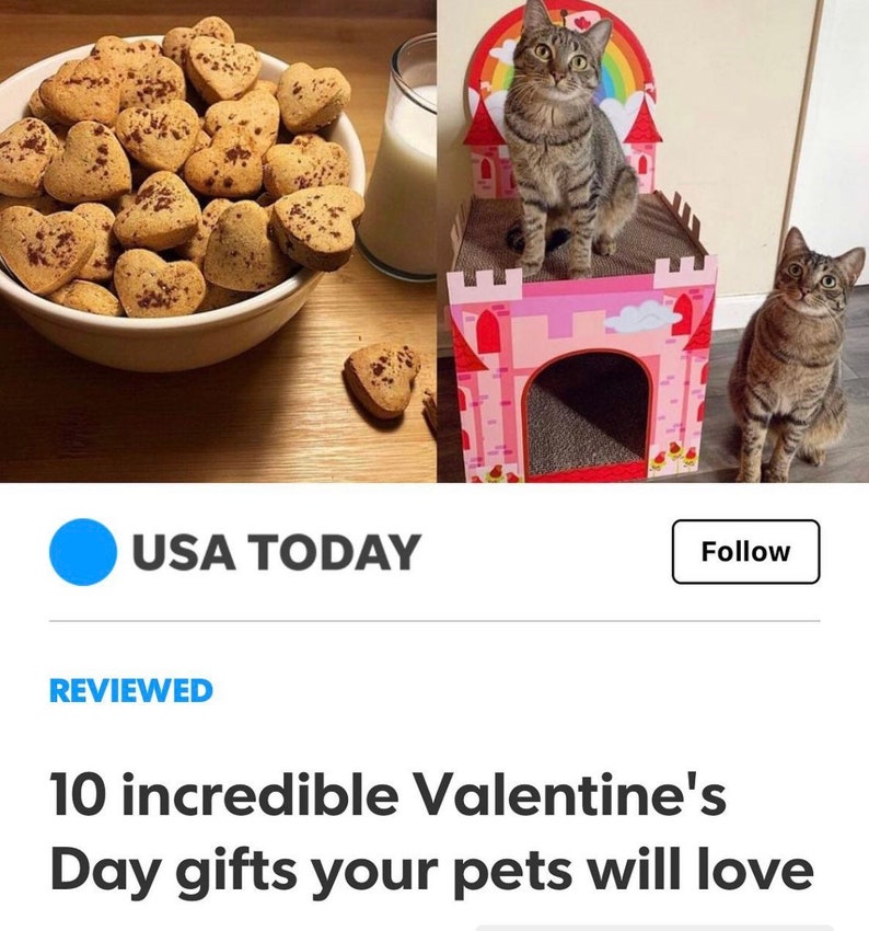 Bacon Snickerdoodles Dog Treats Biscuit Bar Treats Crunchy Etsy