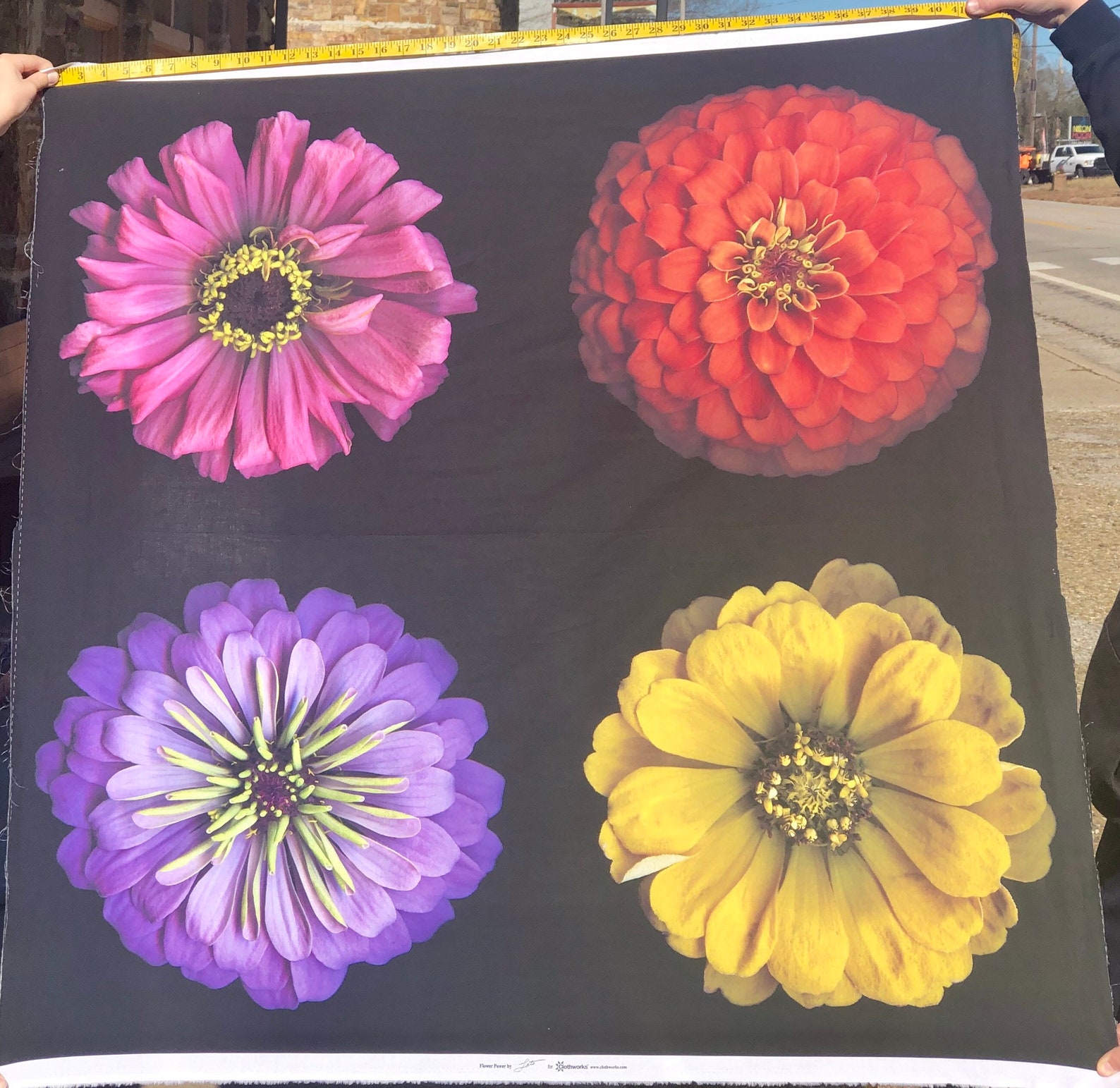 Clothworks Fabrics Flower Power by Tina Leto Y3050 55 Digital Etsy