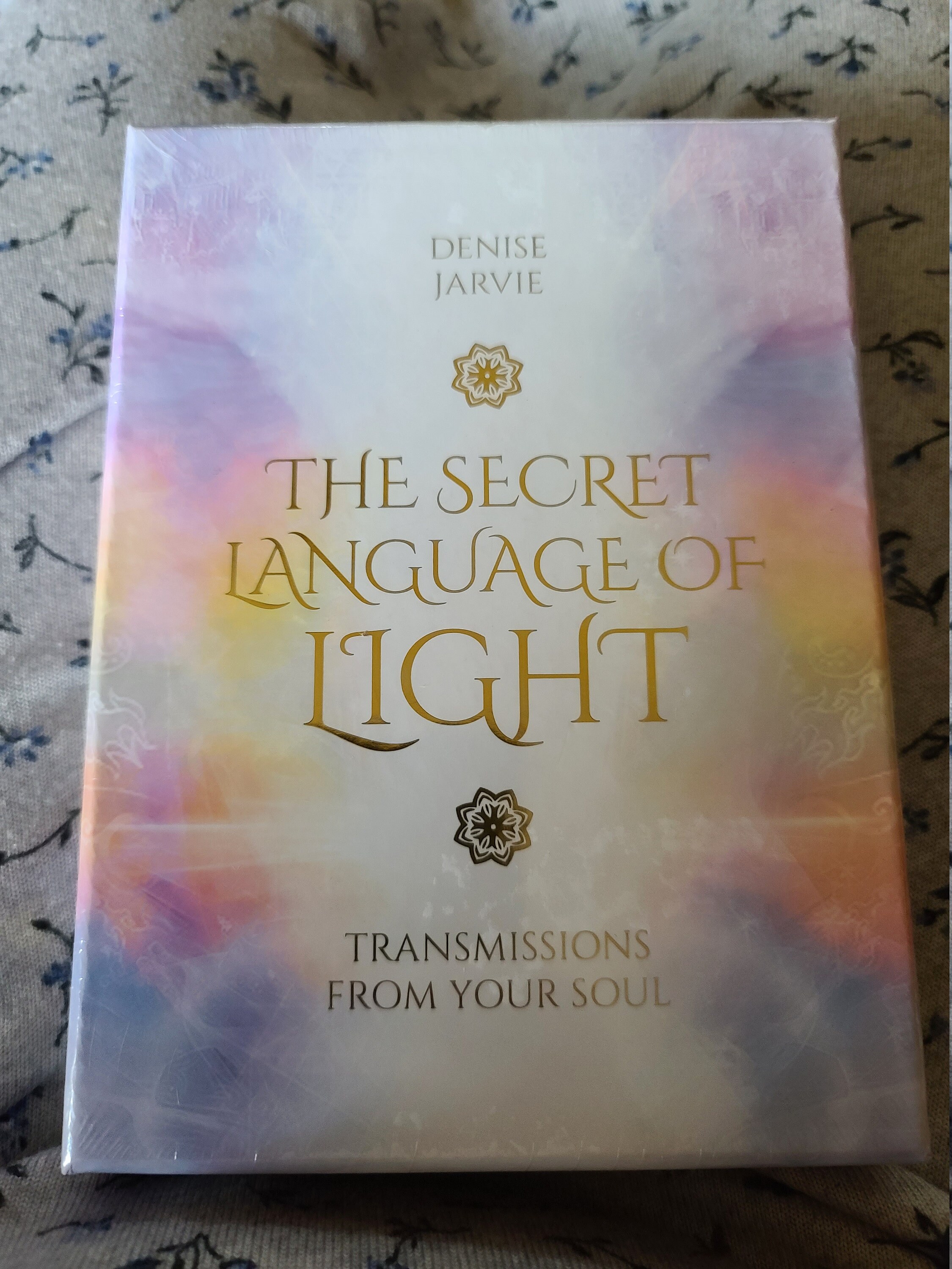 The Secret Language Of Light: How Plants Use It To Grow - vodcl3t