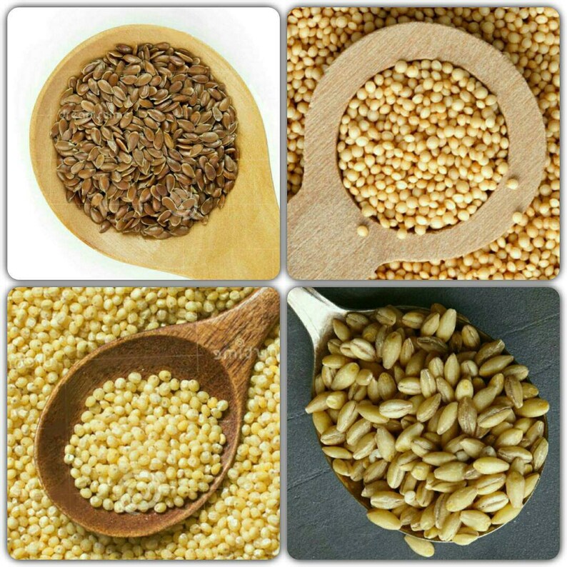 Ancient World Grain collection 2 Flax Millet Amaranth Etsy