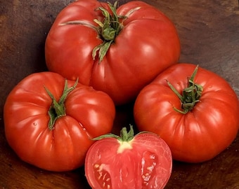Delicious Tomato Seeds ~Solanum lyco~ Giant Beefsteak Heirloom ~1-3 Pound Fruits~ Crack Resistant ~Indeterminate~ Home Garden Favorite