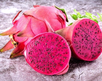 Red Dragon Fruit Seeds ~ Spectacular Flowers ~ Very Easy to Grow, Germinates Readily ~ Pitaya (Hylocereus Costaricensis)