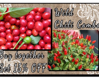 Wild Chili Combo ~ Chiltepin & Pequin Seeds ~ ~