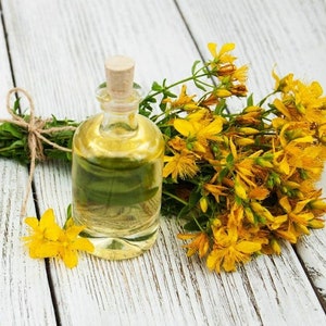 May include: A clear glass bottle of St. John's Wort oil with a cork stopper, next to a bunch of yellow St. John's Wort flowers on a white wooden surface.