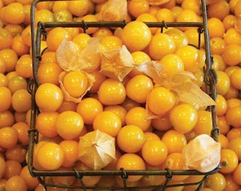 Ground Cherry Seeds ~Physalis peruviana~ Rare Heirloom Plant ~ Inca, Golden or Poha Berry ~ Cape Gooseberry ~ Chinese Lantern ~ Groundcherry