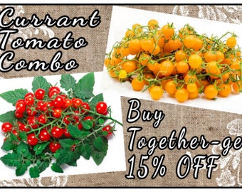 Currant Tomato Combo ~Red & Yellow Currant, Spoon Tomato Seeds ~ Solanum pimpinellifolium