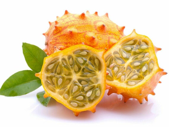 Hoornmeloen kiwano, Cucumis metuliferus | overig | van der Plancke