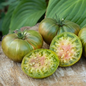 May include: Close-up of several green and red heirloom tomatoes, one sliced open to reveal a pink interior. The tomatoes are on a weathered wooden surface, with large green leaves in the background.