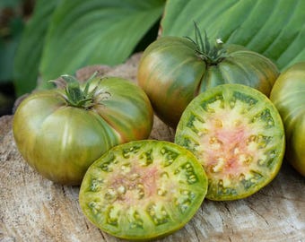 Aunt Ruby&#39;s German Green Tomato Seeds ~Solanum lycopersicum~ Giant Green Beefsteak ~Tennessee Family Heirloom~ Sweet Spicy ~Pound Plus Fruit