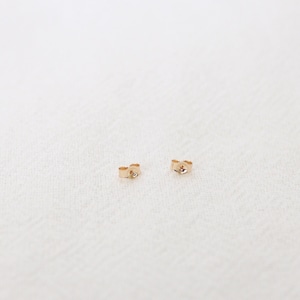 Op de afbeelding: Een paar kleine gouden oorbelletjes met een klein, helder steentje in het midden van elk.