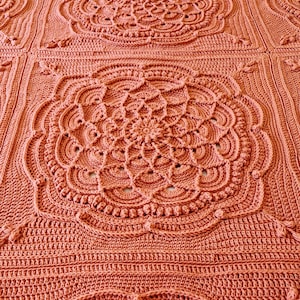 Puede incluir: Una manta de ganchillo con un patrón repetitivo de grandes diseños florales intrincados en un cálido color terracota.