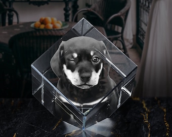 Custom 3D Crystal Pet Photo Keepsake: Personalized Pet Portrait Gift