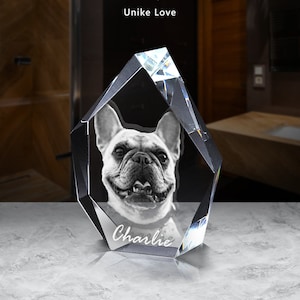 Unike Love®-cadeau voor huisdierenliefhebber |  3D-kristalfoto | Aangepaste foto en tekst | | Portret van vereeuwigd huisdier | Aangepaste foto huisdier