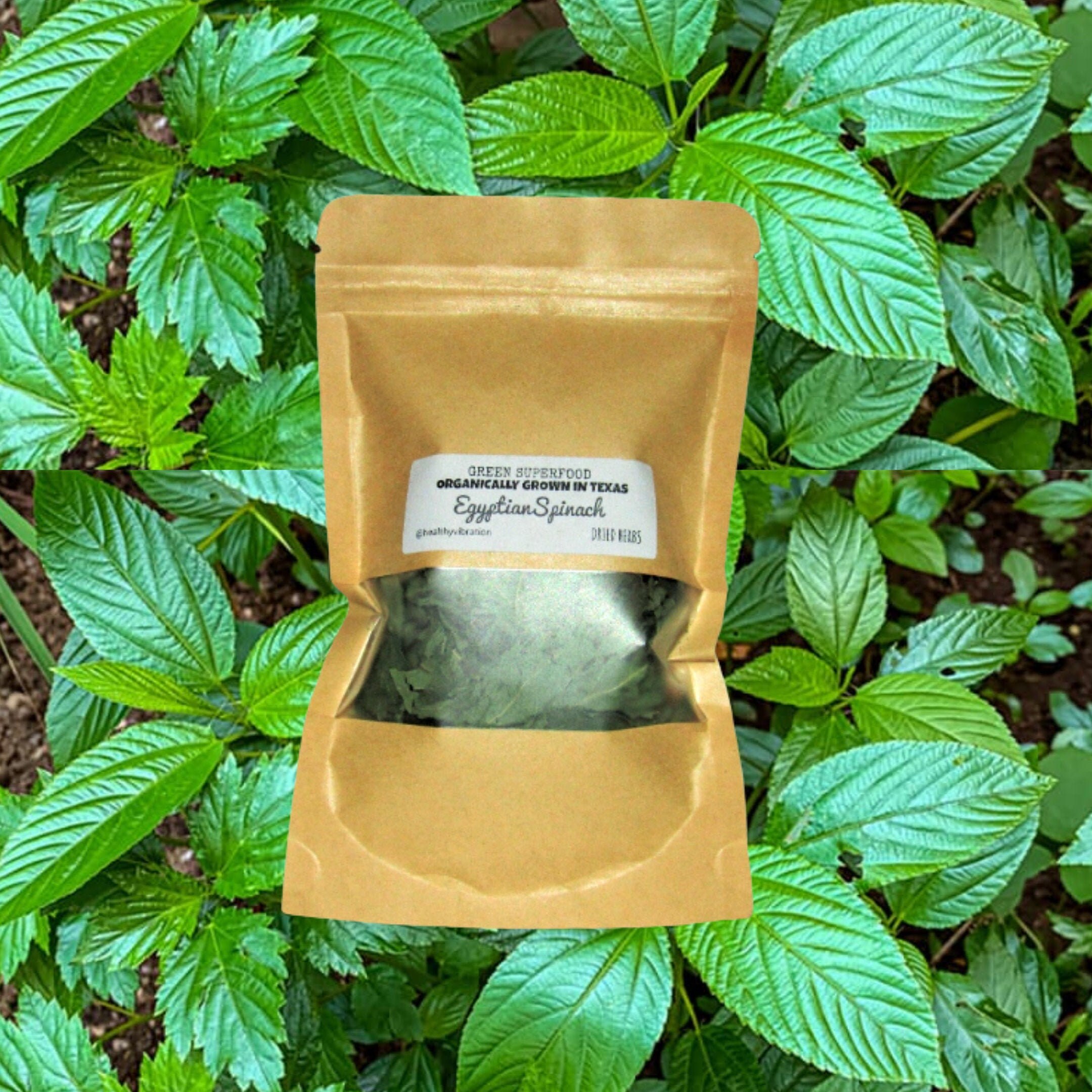 Egyptian Spinach Loose Leaf tea Makes 10 cups Organic Etsy