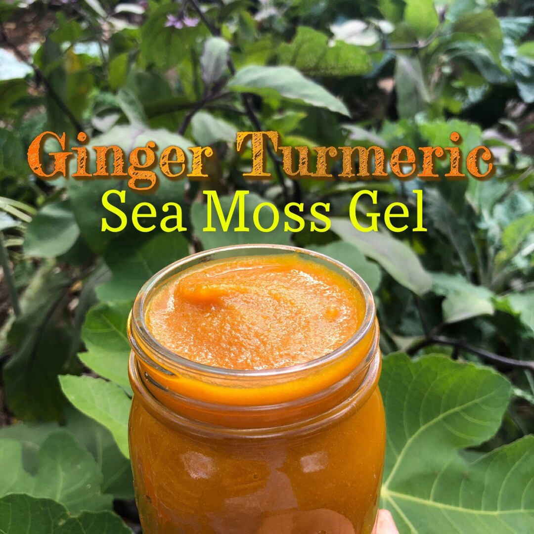 Ginger Turmeric Sea Moss Gel Organic Etsy