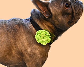 Green rose for dog collar, Felt rose for pet collar, Flower collar accessory, Floral wedding dog accessory, Felt flower for cat collar