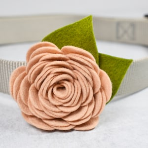 May include: A light gray dog collar with a felt flower and leaf. The flower is peach colored and the leaf is green.