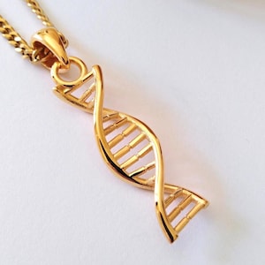Può includere: Una collana color oro con un ciondolo a forma di doppia elica di DNA. Il ciondolo è sospeso a una catena a maglie color oro abbinata. Il design è composto da due filamenti a spirale intrecciati collegati da pioli orizzontali.