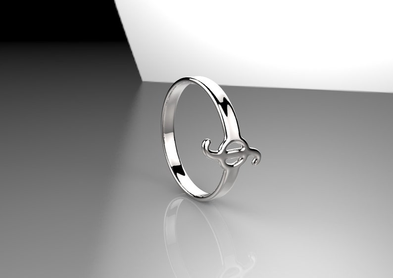 Integral Ring Maths Ring Science Ring Science Jewelry Etsy