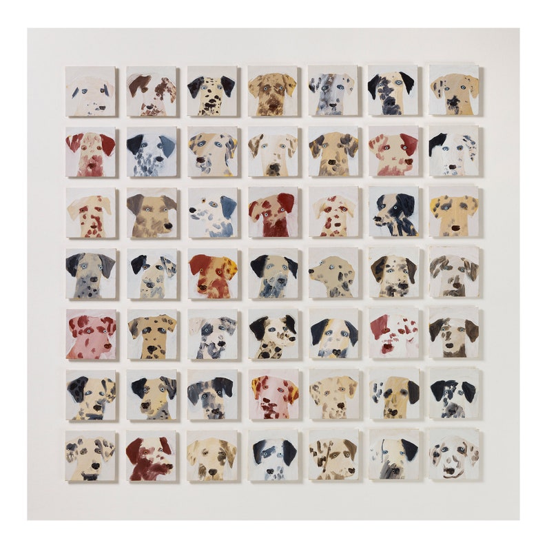 49 Dalmatians 49 Dalmatians