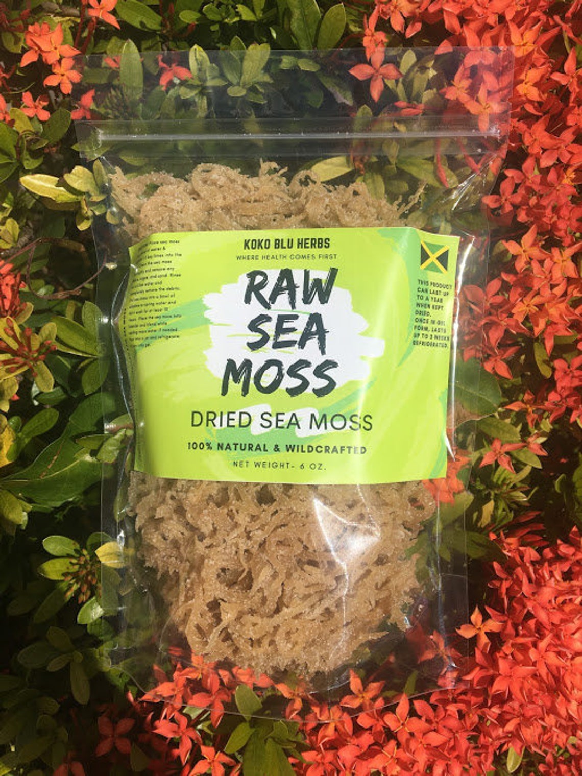 100 Organic Raw Sea Moss 6 Oz Etsy