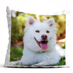 Personalisiertes Kissen mit dem Foto Ihres Hundes oder Ihrer Katze, jedes Foto, Geburtstagsgeschenk, Weihnachten, Mama, Papa, Freund, Jahrestag