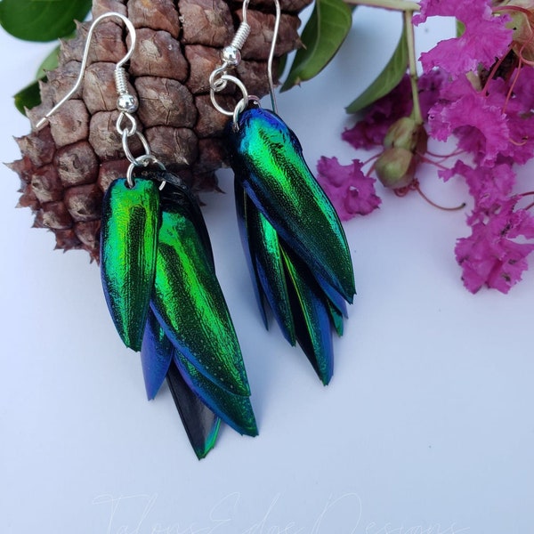 Beetle Wing Earrings - Real Wings - Elytra Jewel Beetle - Dangle Earrings - Iridescent