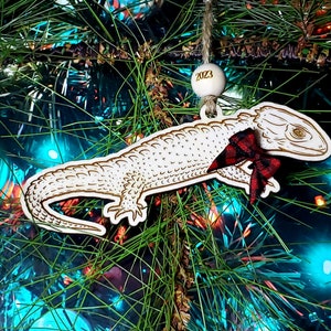Red Eyed Crocodile Skink - Lizard - Red-Eyed - Personalized - Add Your Pet&#39;s Name - Reptile