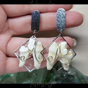 Coyote Molar Tooth Earrings - Canine Teeth - Real - Bone Jewelry - Dangle Earring