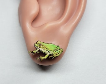 Frog Stud Earrings - Tree Frog - Green Tree Frog - Hand Painted - Frog Earrings - Amphibian