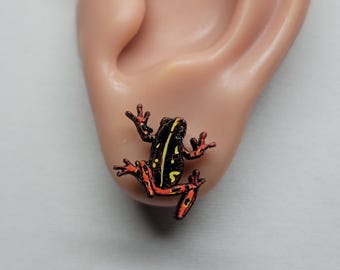 Frog Stud Earrings - Reed Frog - Common Reed Frog - Hand Painted - Frog Earrings - Amphibian