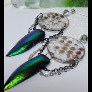 May include: Earrings featuring iridescent beetle wing elements in shades of green and blue, suspended from clear, circular pendants with a speckled pattern. The earrings are connected by silver and black chains, with a clear bead accent at the top.