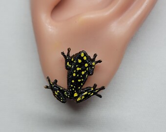 Frog Stud Earrings - Reed Frog - Starry Night Reed Frog - Hand Painted - Frog Earrings - Amphibian
