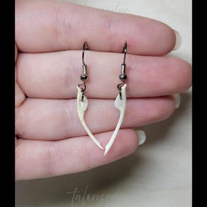 Rattlesnake Jaw Earring - Real Bones - Bone Jewelry - Dangle Earring
