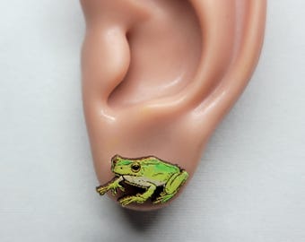 Frog Stud Earrings - Tree Frog - Green Tree Frog - Hand Painted - Frog Earrings - Amphibian