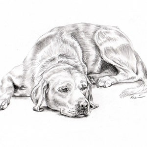 Labrador Pencil Sketch Print, labrador art, labrador drawing, labrador print, labrador picture, labrador lover gifts, labrador owner gifts,